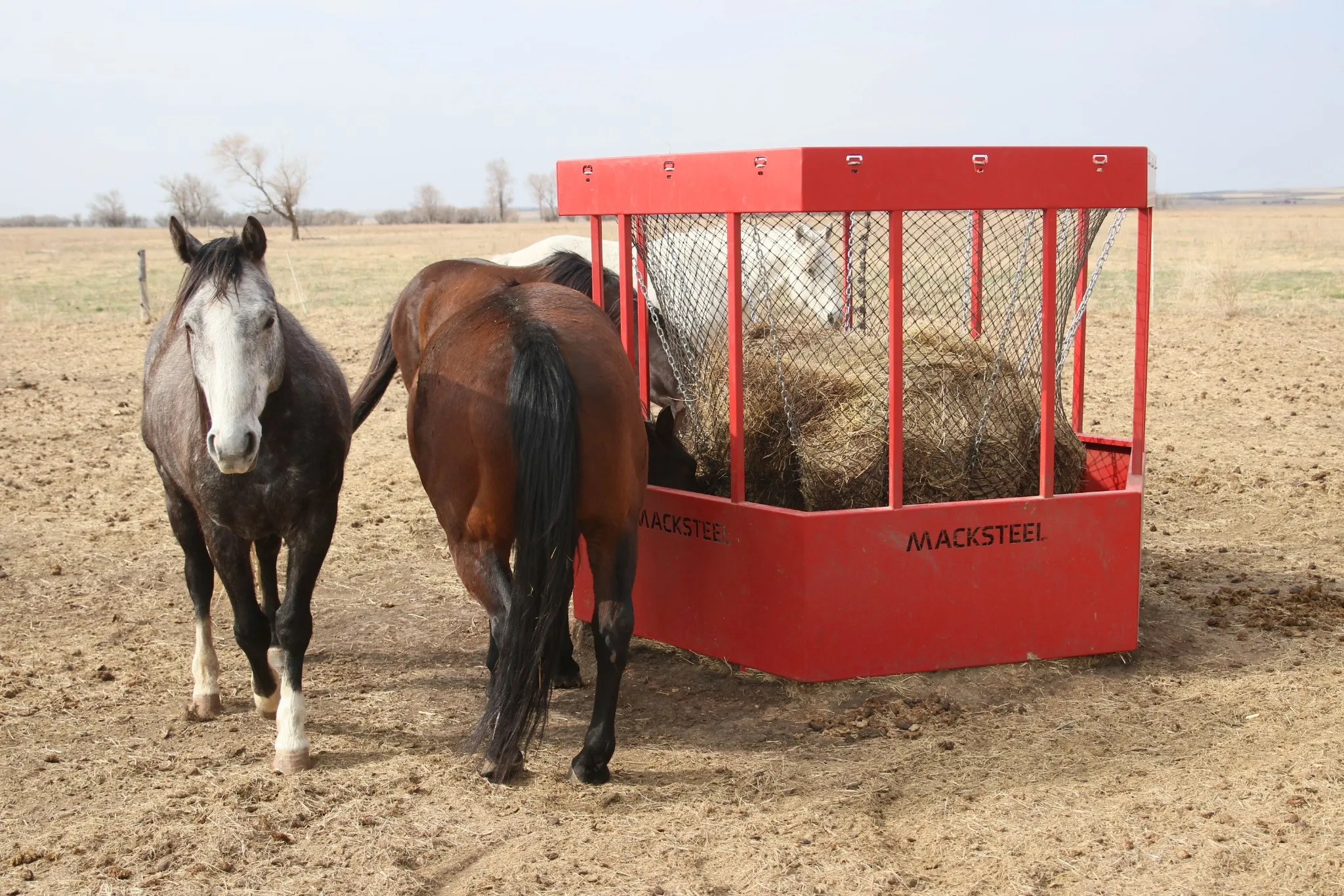 Mac Steel Hanging Bale Feeder Close-up