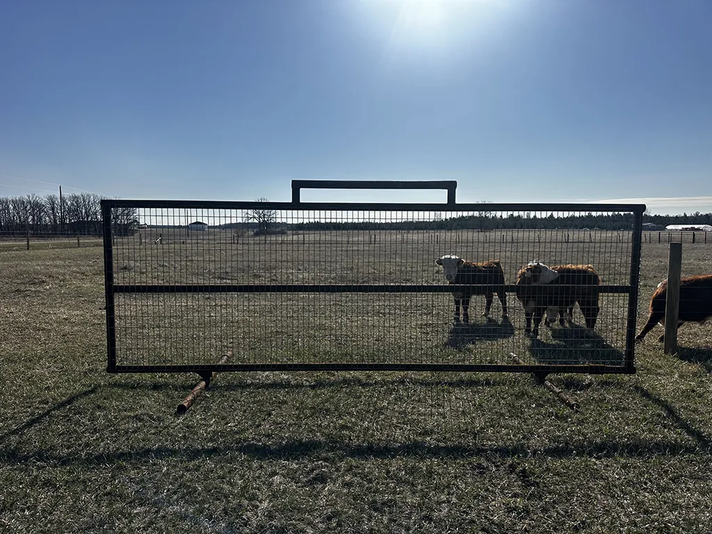 Sheep and Goat Panel